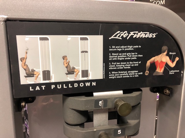 Buy Life Fitness Pro 2 Platinum Lat Pulldown 300 lb. Stack Online ...