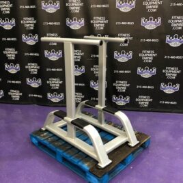 Flex Fitness Star Trac Nautilus Parallel Angled Dip Bars