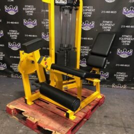 Life Fitness Pro 2 Leg Extension w/300 lb. Stack