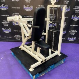 Flex Fitness Seated Dip w/315 lb. Stack – RARE